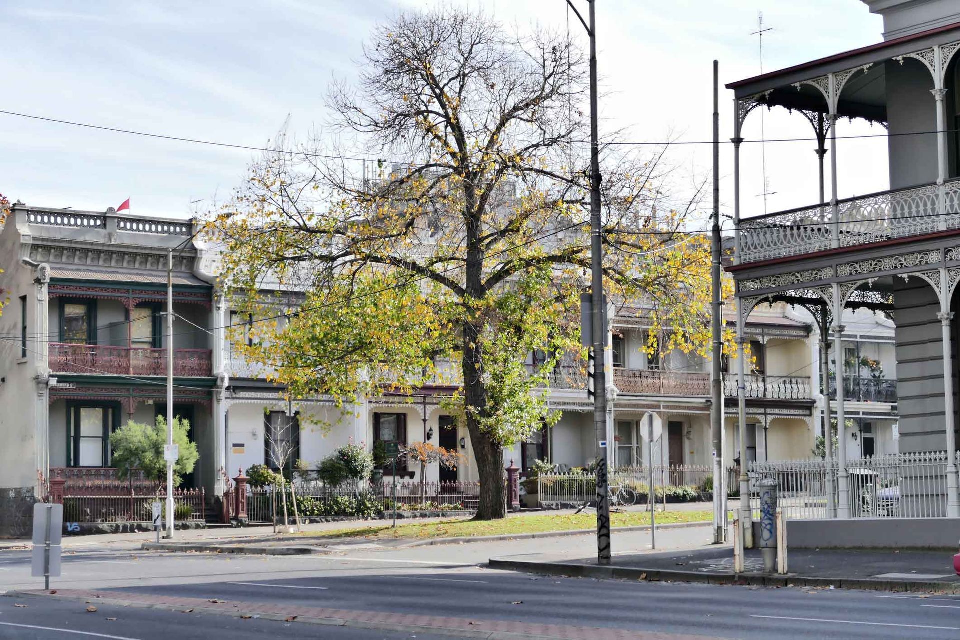 A row of houses on a street with a tree in the middle