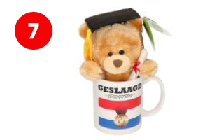 Geslaagd beer in mok - Geslaagd cadeau