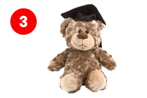 Geslaagd Knuffel - Geslaagd cadeau