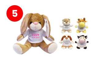 Knuffel met naam Geboorte cadeau