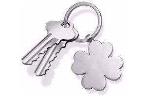Klavertje vier sleutelhanger - Rijbewijs cadeau