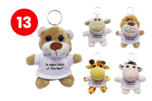 Zwemdiploma sleutelhanger met naam