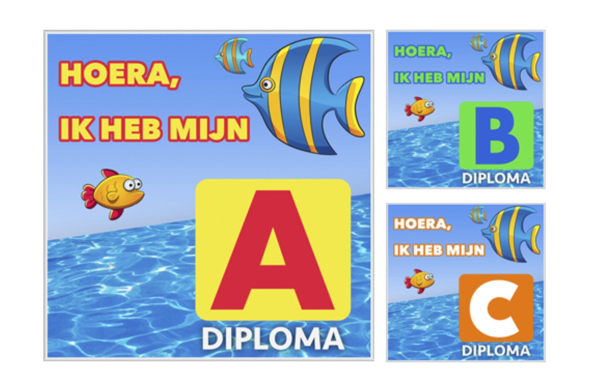 Zwemdiploma Mok Met Naam | Zwemdiploma Cadeau A B Of C Diploma