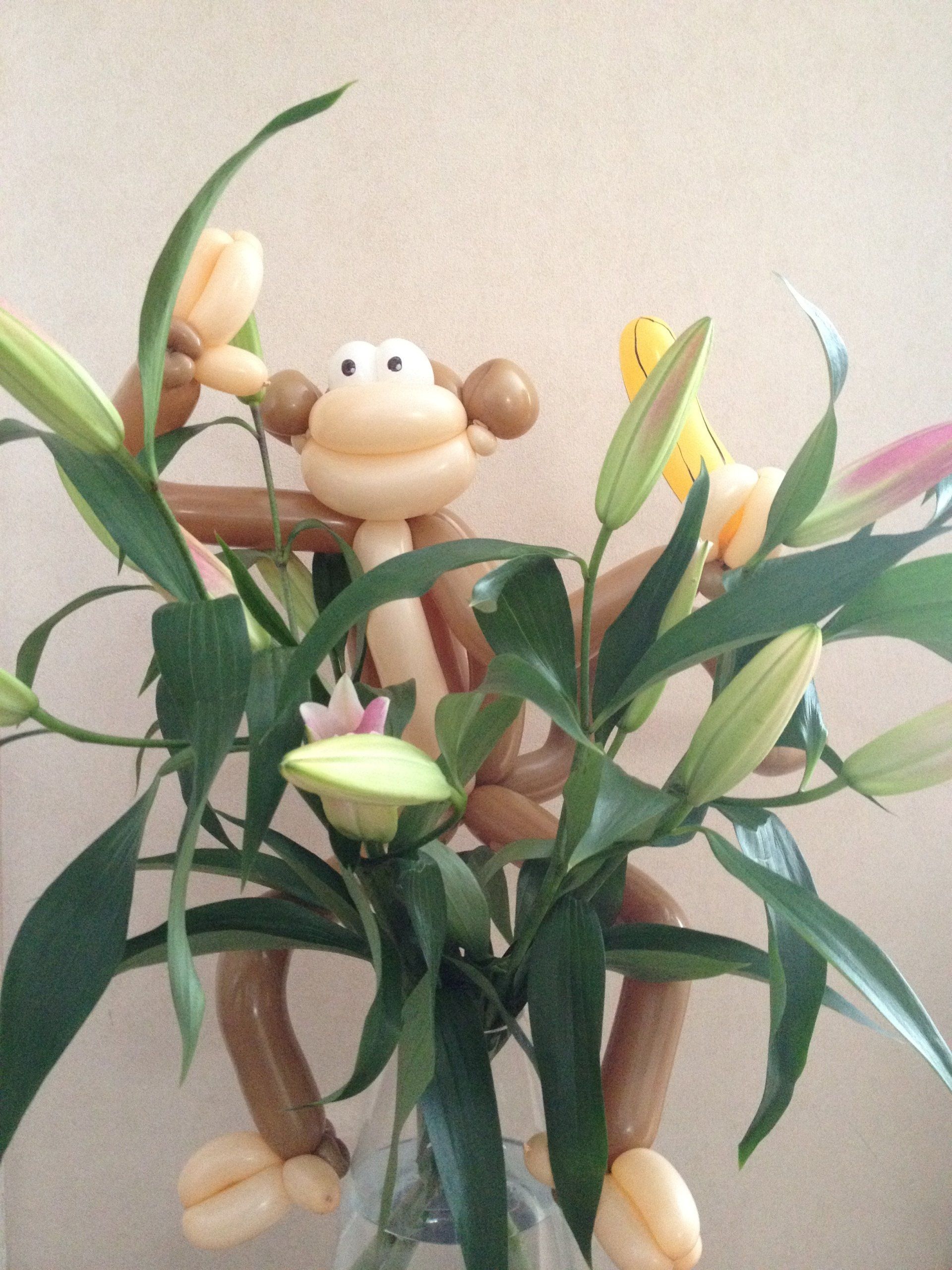 Magic shows in Solihull