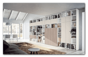 living room con libreria
