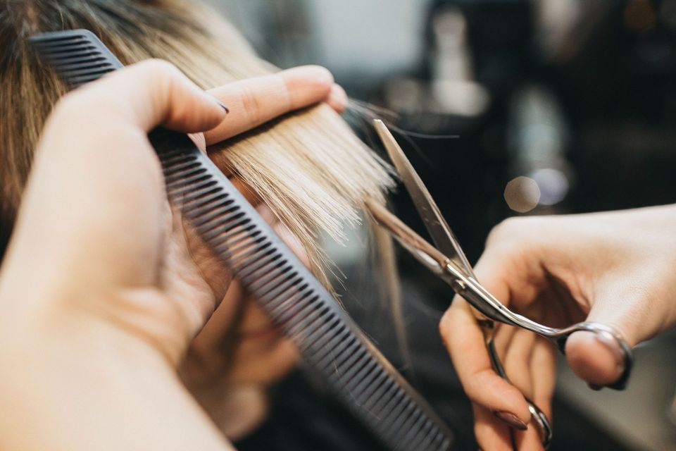Hairdresser trimming wet hair with scissors and comb