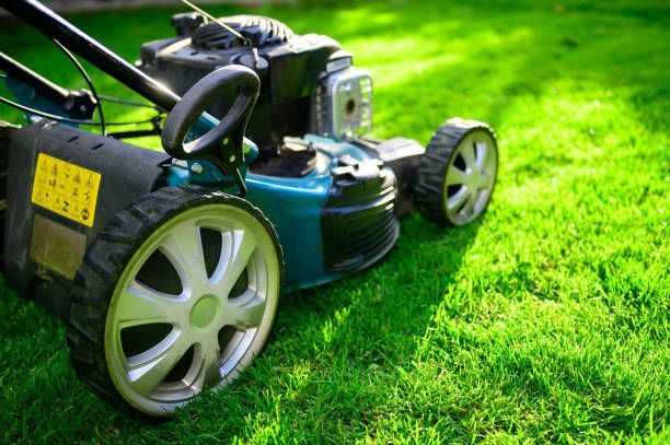 A teal lawn mower sits on a vibrant green lawn on a sunny day.