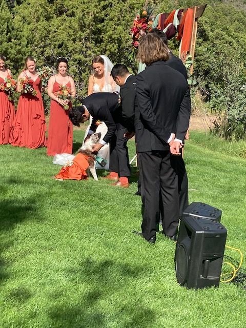 A group of people standing in a grassy field with a speaker in the foreground
