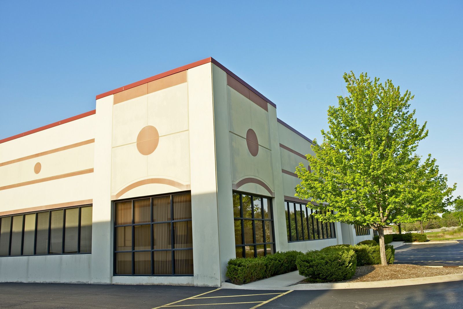 A large white building with a tree in front of it