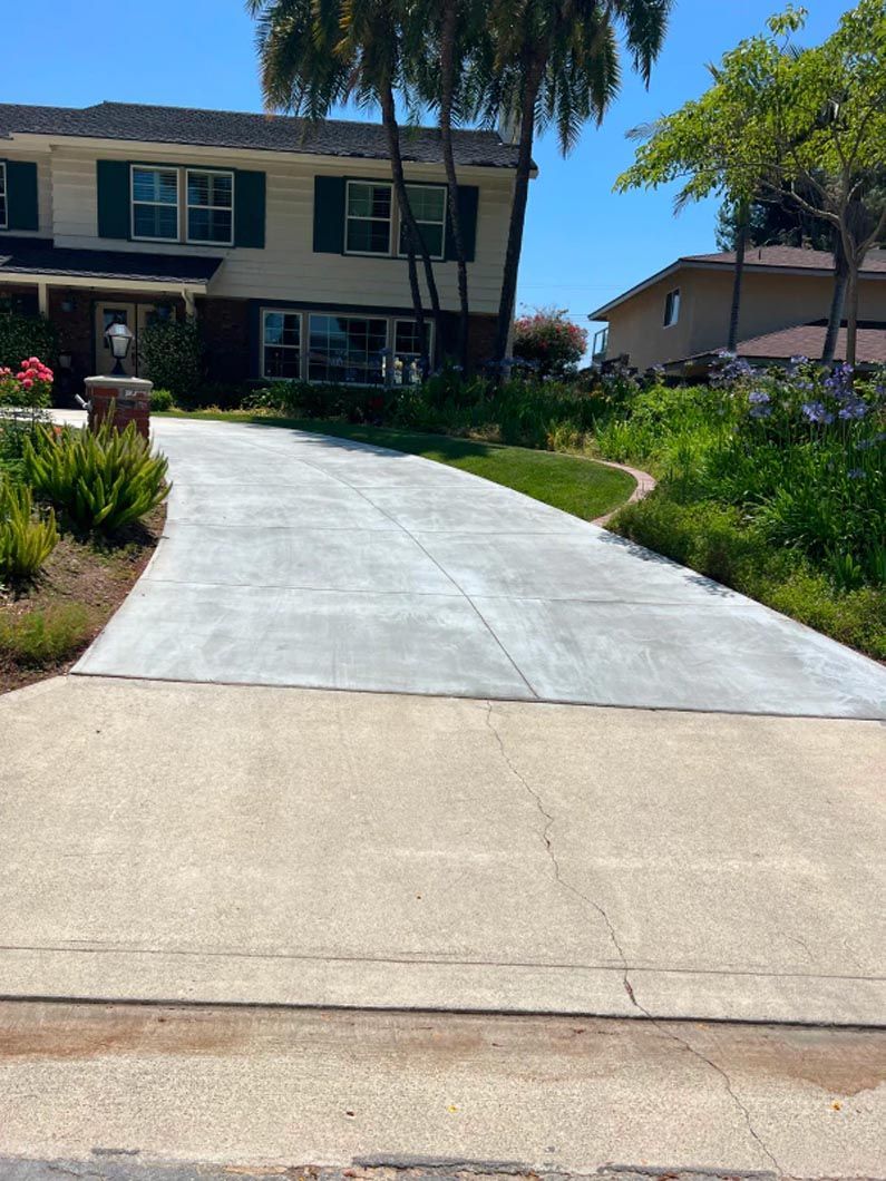 A concrete driveway leading to a house with palm trees
