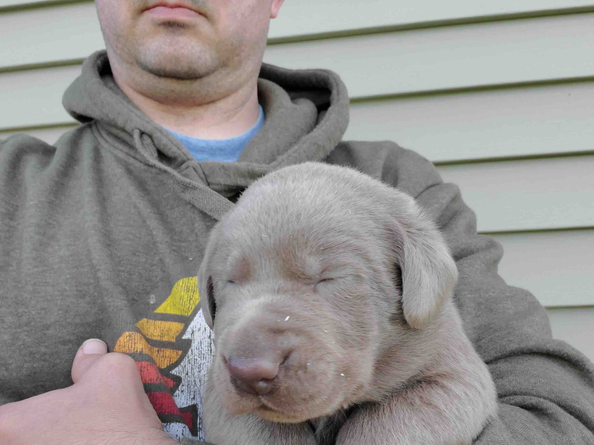 A man in a hoodie is holding a puppy with his eyes closed