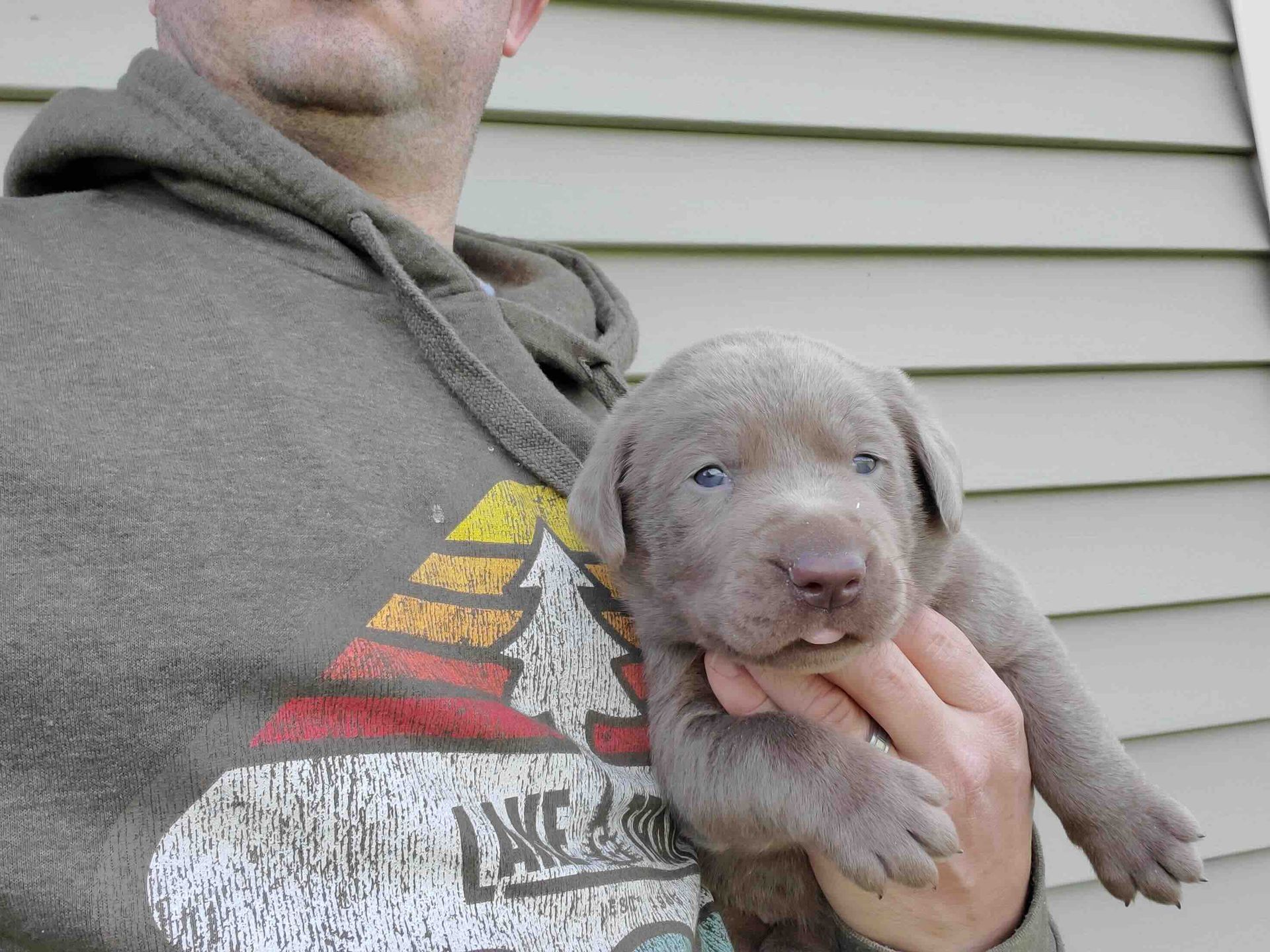 A man is holding a puppy in his arms and the puppy is wearing a patagonia shirt