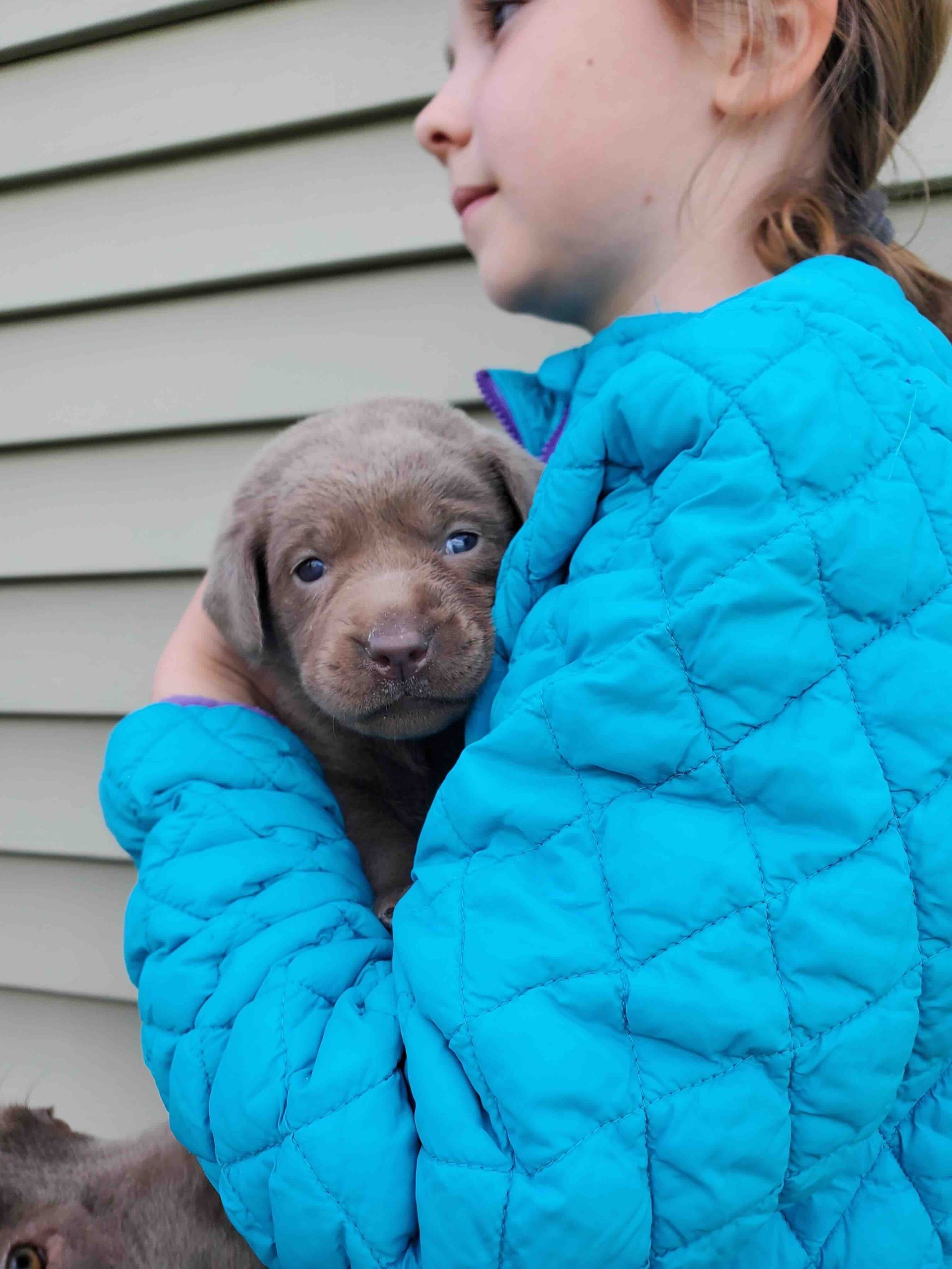 A little girl in a blue jacket is holding a puppy in her arms.