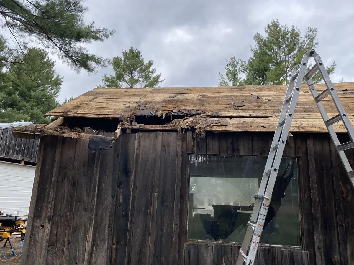 Damaged wooden shed with a partially collapsed roof and a ladder leaning against it