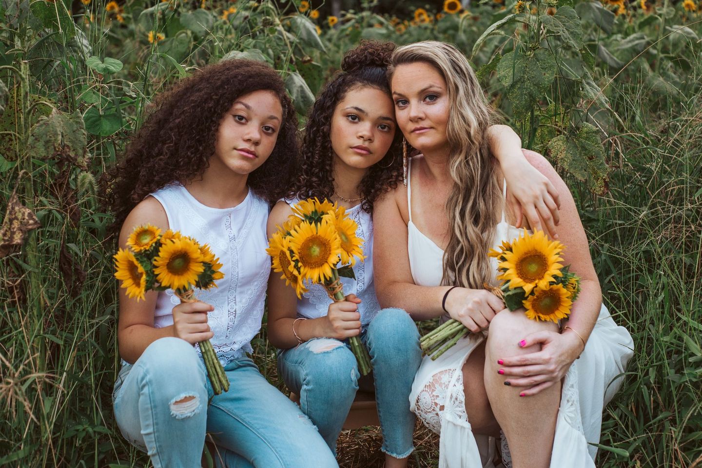 Chesterfield Sunflower family pictures