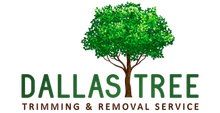 Dallas Tree Trimming and Tree Removal