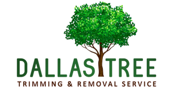 Dallas Tree Removal
