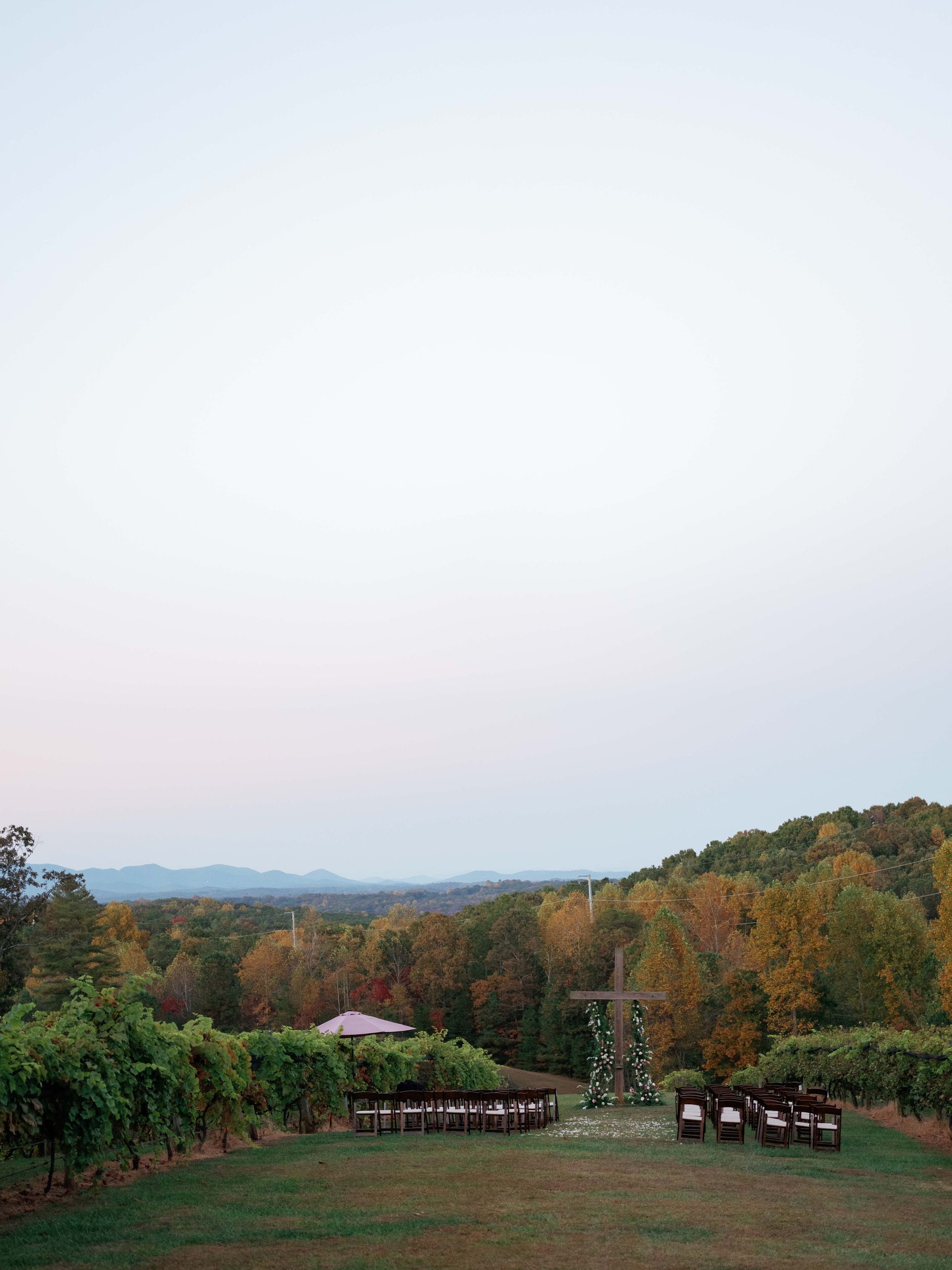 A view of a vineyard with a white sky in the background