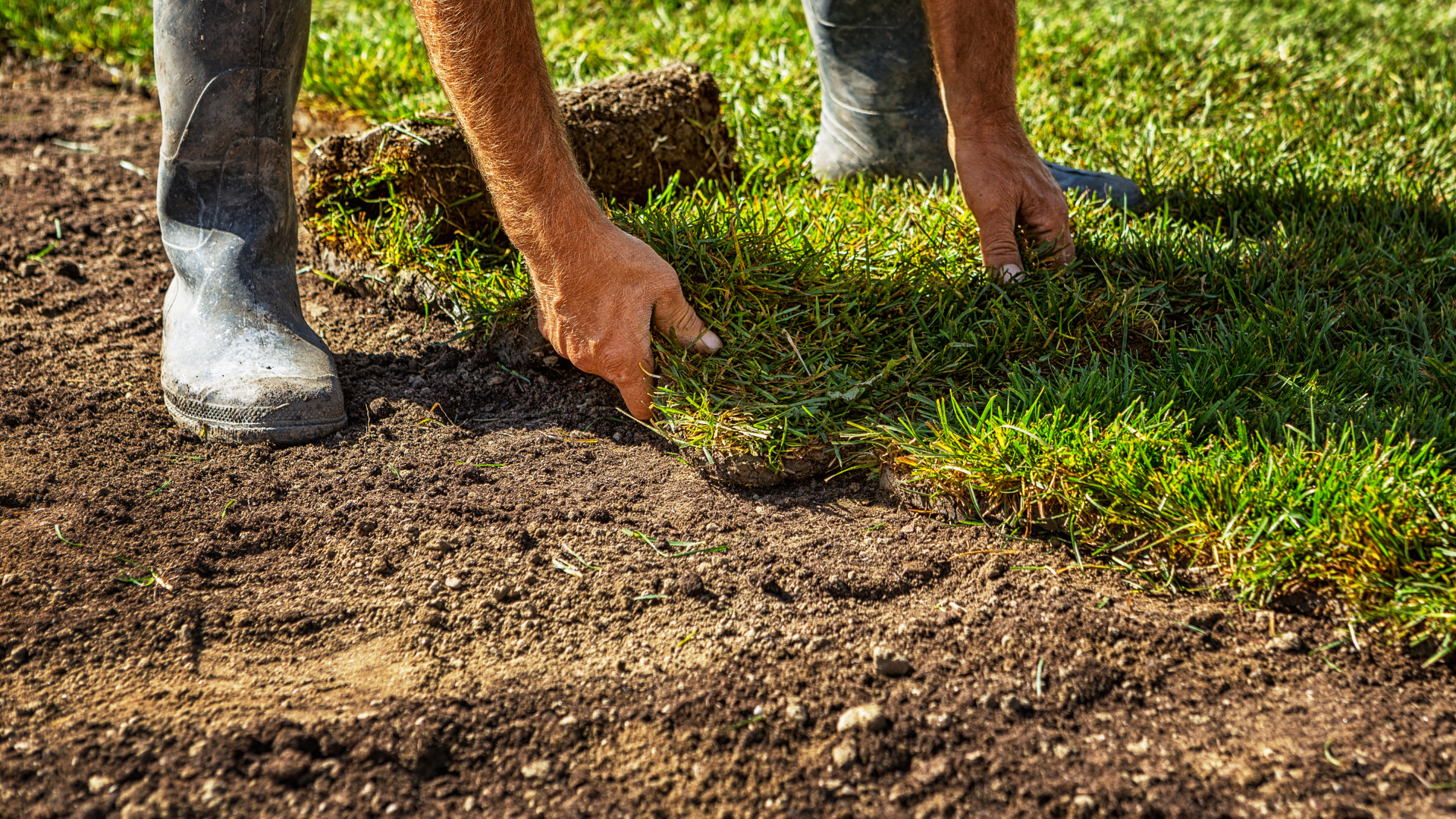 Person in boots laying sod on prepared soil.