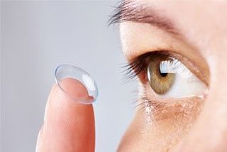 Contact Lens - Optical Services in Holden, MA