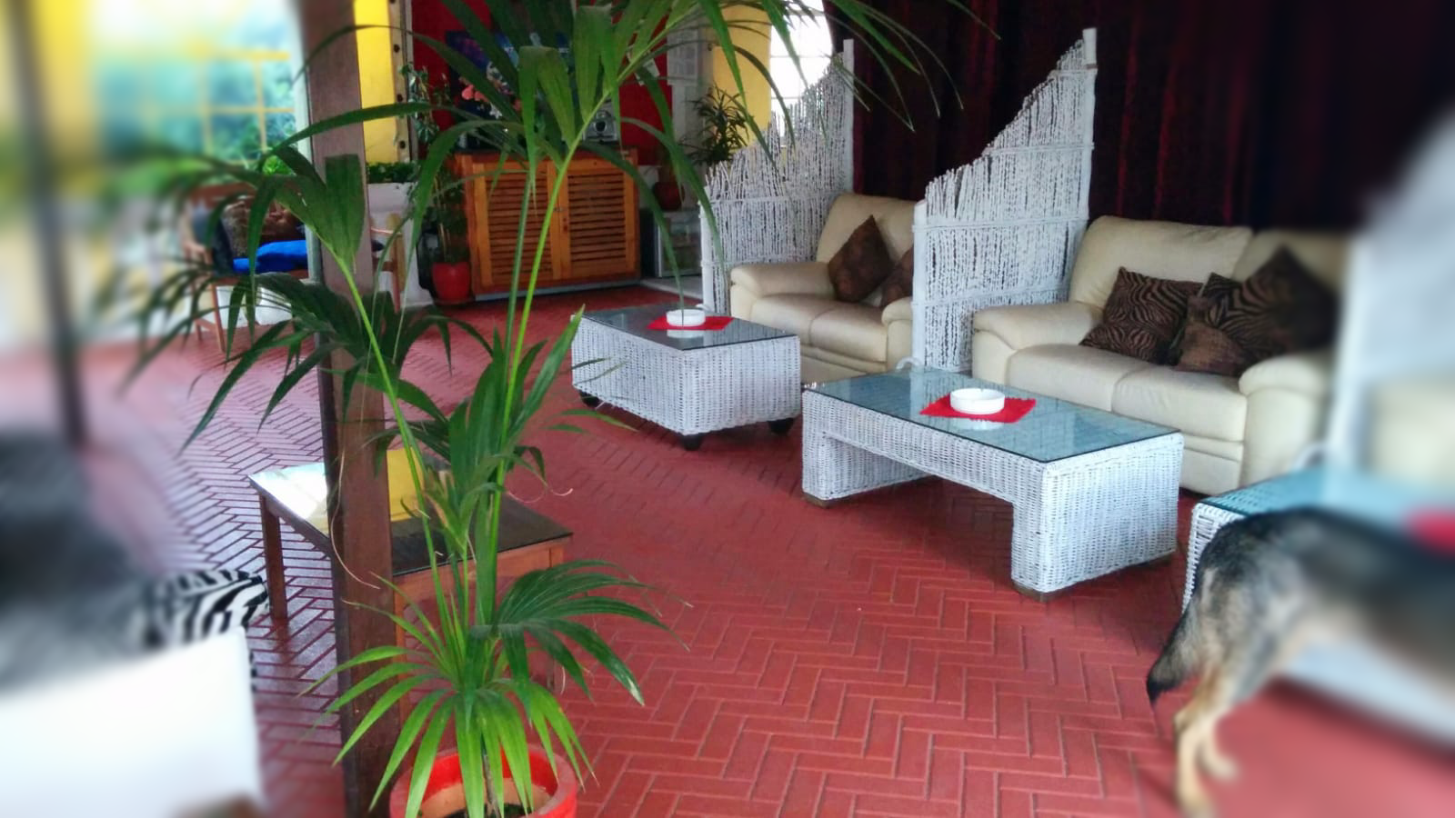 Night club Rimini: Ora Blu dehor