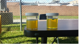 Two jars of yellow liquid are sitting on a table.