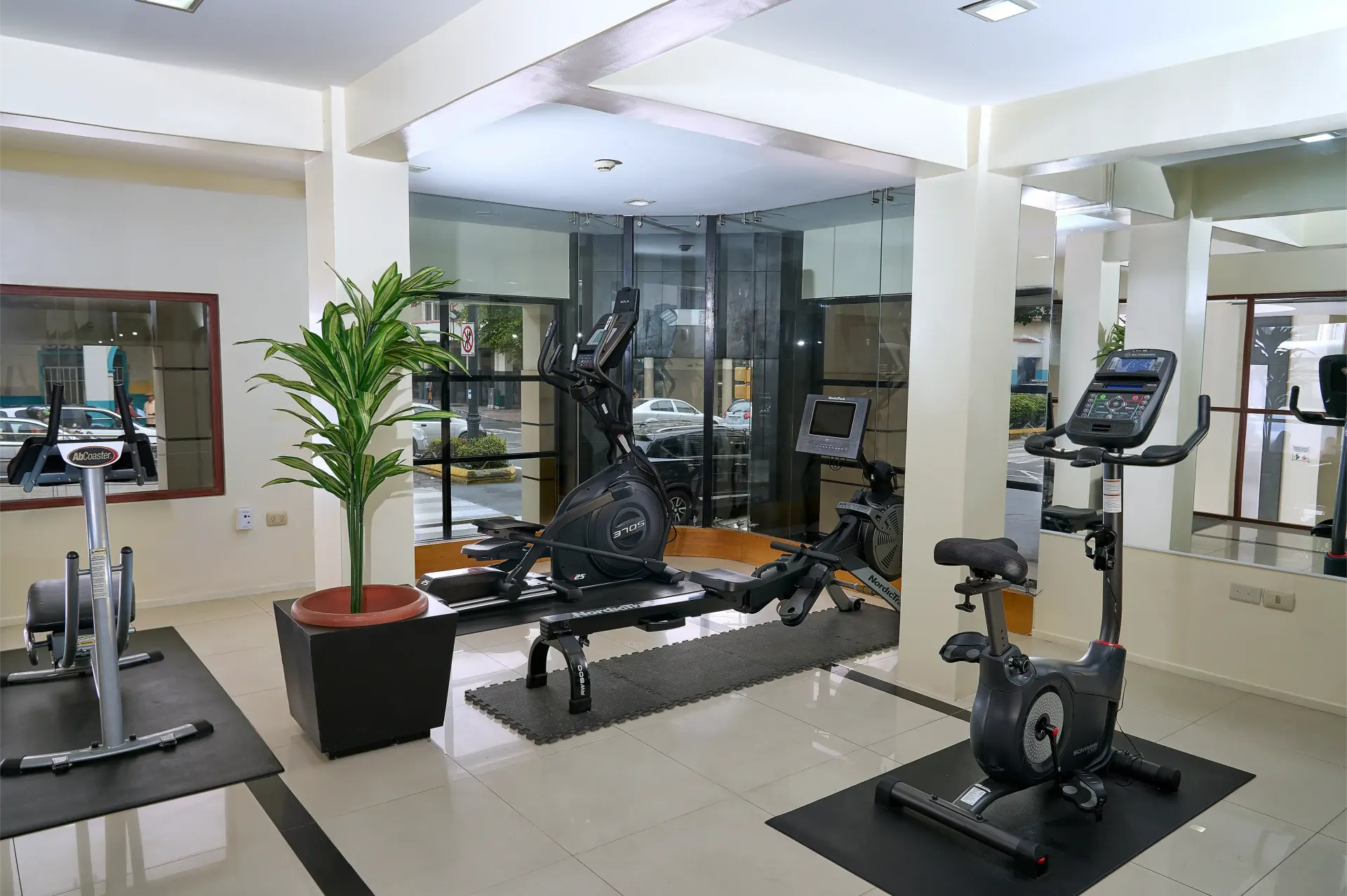 A gym with a lot of exercise equipment and a plant.