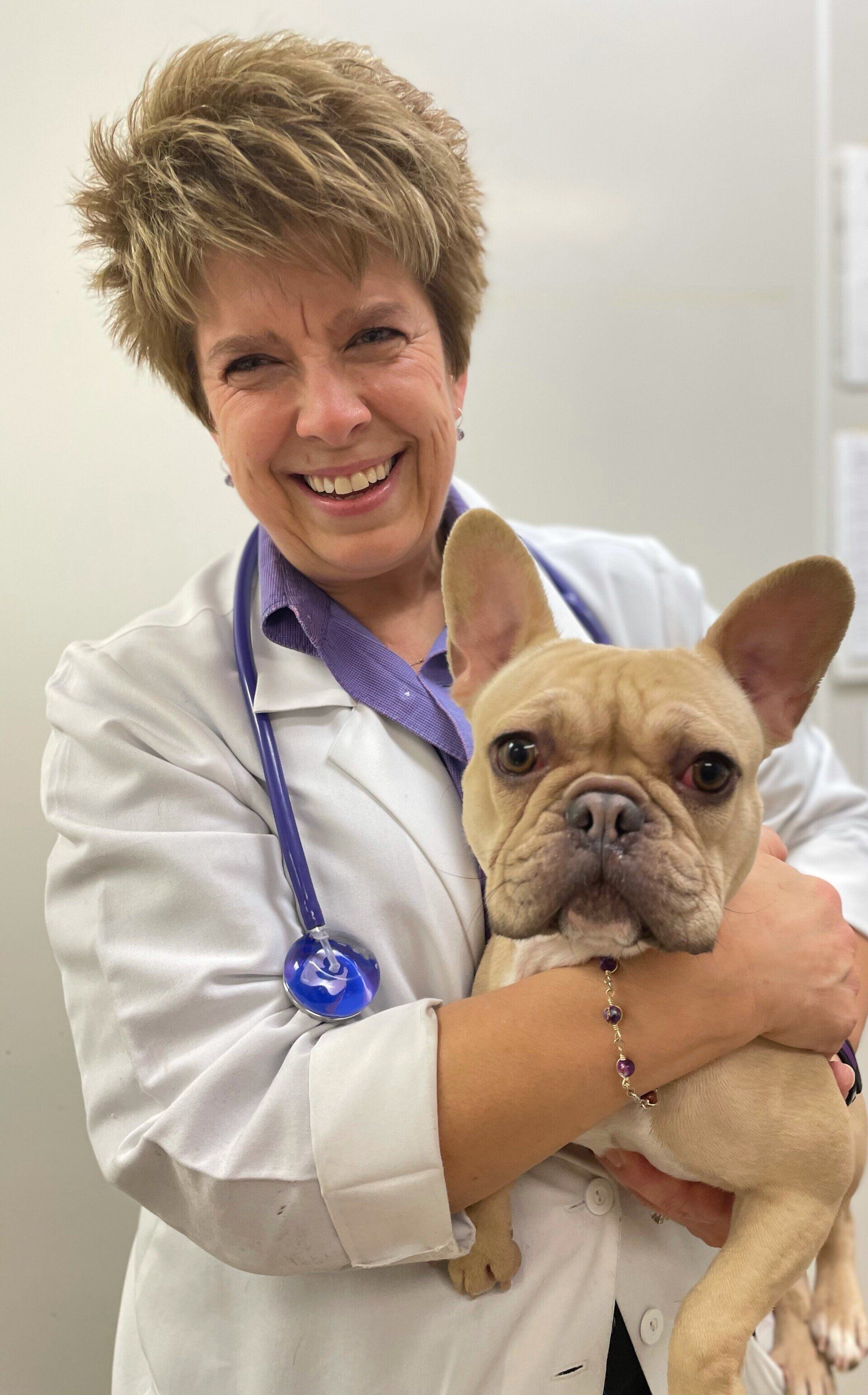 Our Veterinarians | Orland Park, IL | Animal Medical Center
