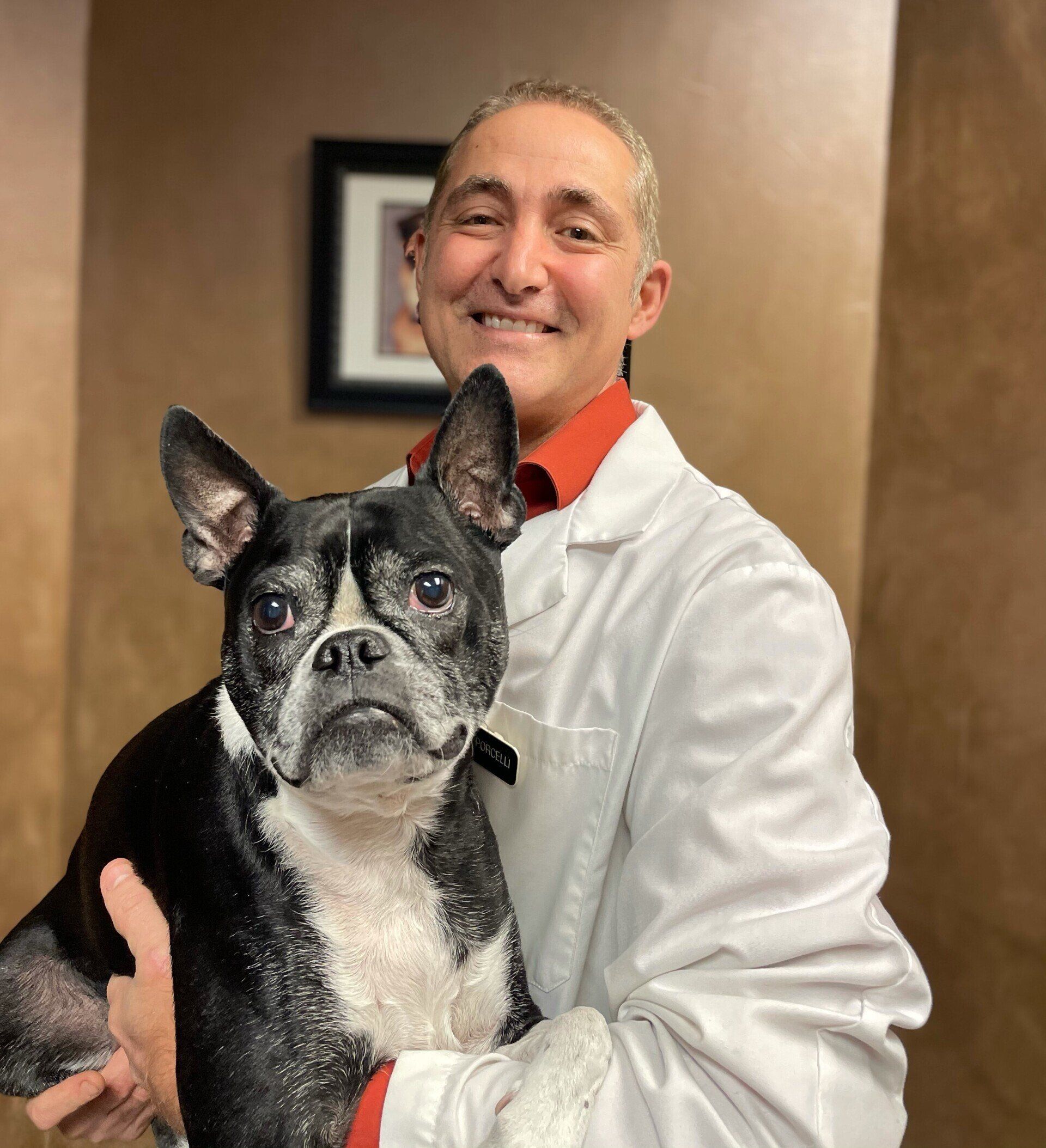 Our Veterinarians | Orland Park, IL | Animal Medical Center