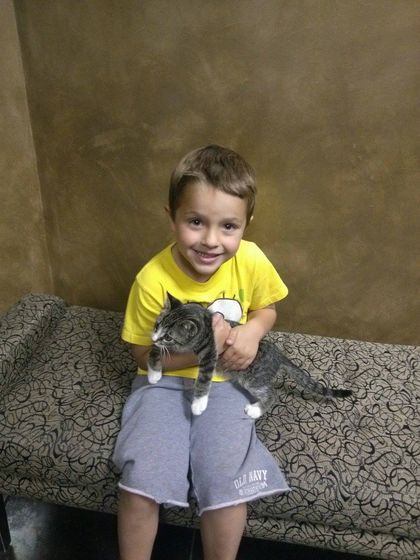 Boy Holding a Cat — Orland Park, IL — Animal Medical Center of Orland Park