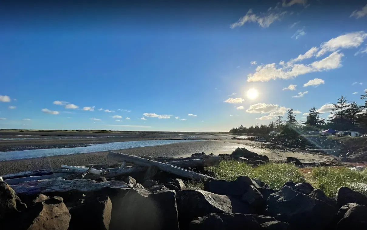 Sunlight shines over a coastal landscape with a pebbled beach, driftwood, and rocks under a clear blue sky.