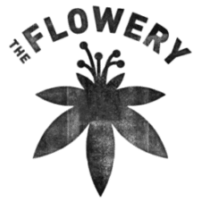 "RETAIL IQ" logo with dark blue text except the "IQ", which is light pink.