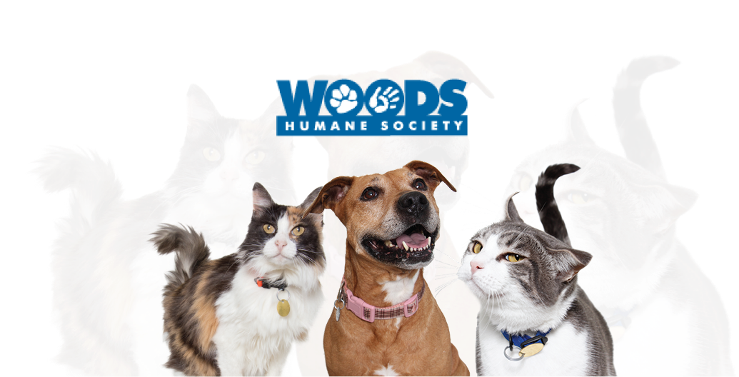 Woods Humane Society logo with a calico cat, brown dog, and gray cat. | Morin Brothers Automotive