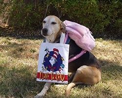 Dog wearing a backpack and tote bag that says