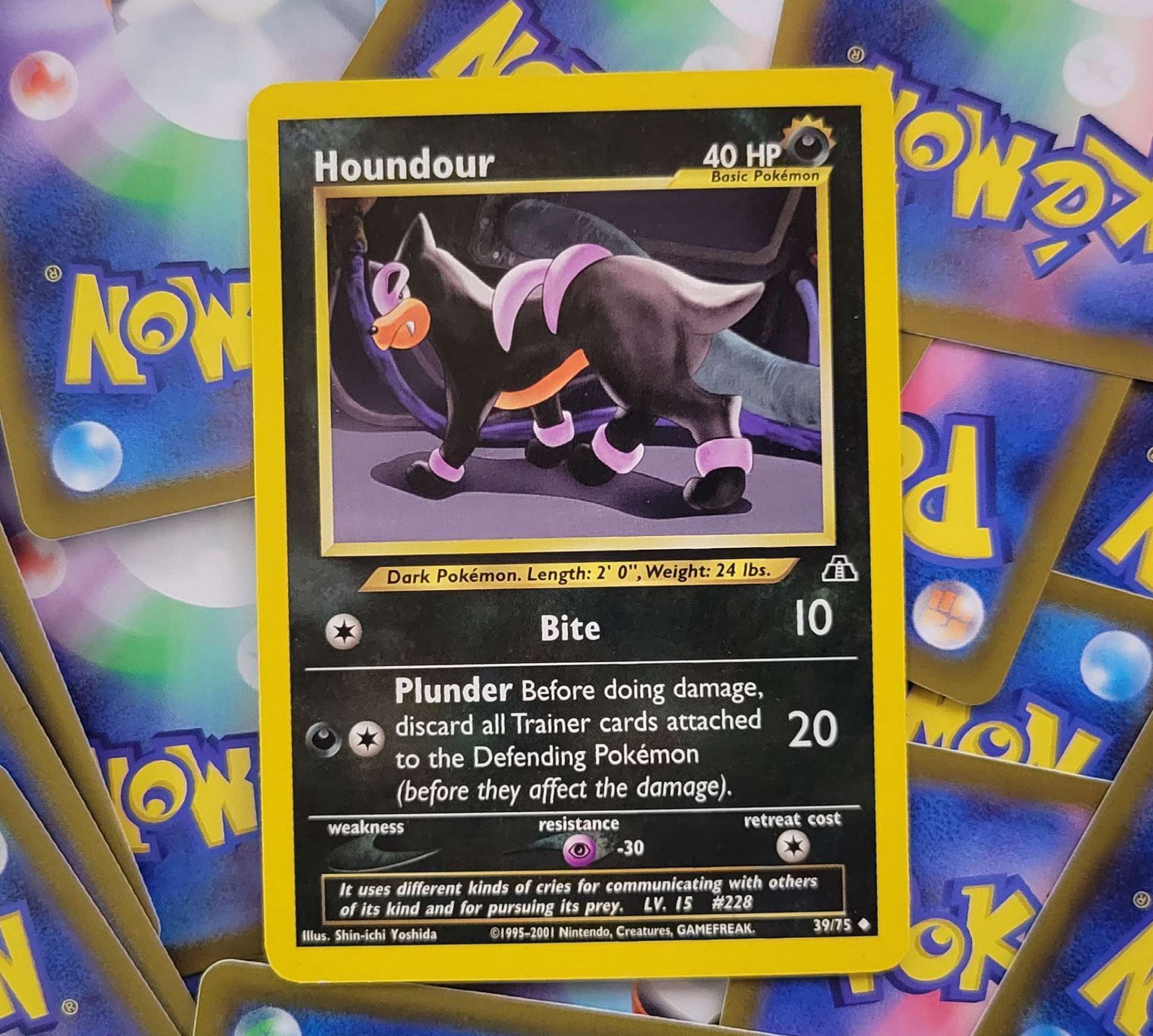 a pokemon card with the name houndour on it