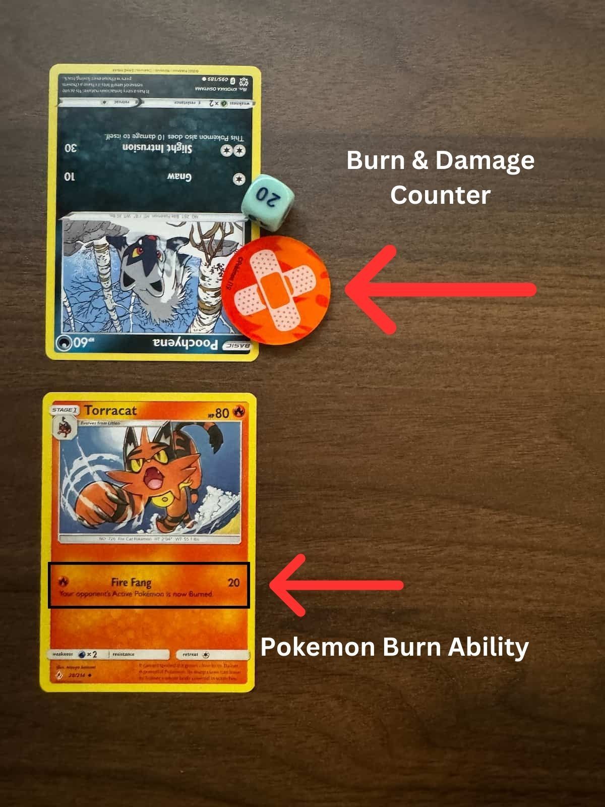 Pokémon TCG Understanding Status Conditions TCG Review