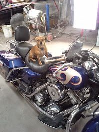 A small dog is sitting on the seat of a motorcycle.