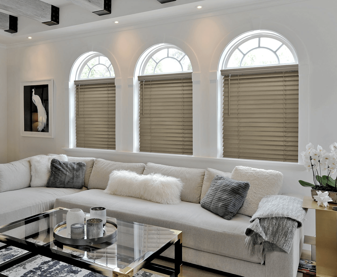 Custom Window Treatments from Comfortex, Norman®, Carole™, Pro Design