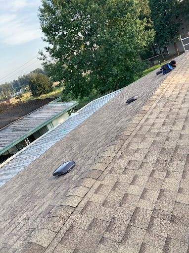 A close up of a roof with a few trees in the background.