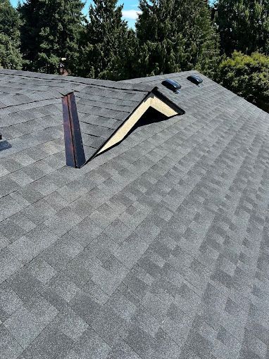 A close up of a roof with a skylight and trees in the background.