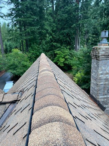 A roof with a chimney and trees in the background.