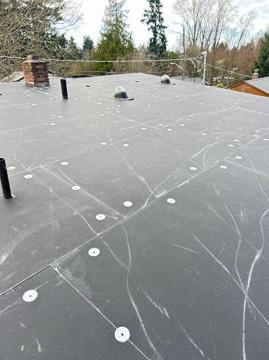 A black roof with white circles on it and trees in the background.