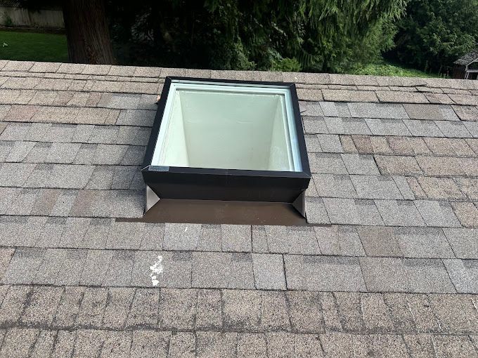 A skylight on top of a roof with a tree in the background.