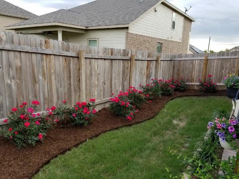 A wooden fence surrounds a lush green yard with flowers and mulch.