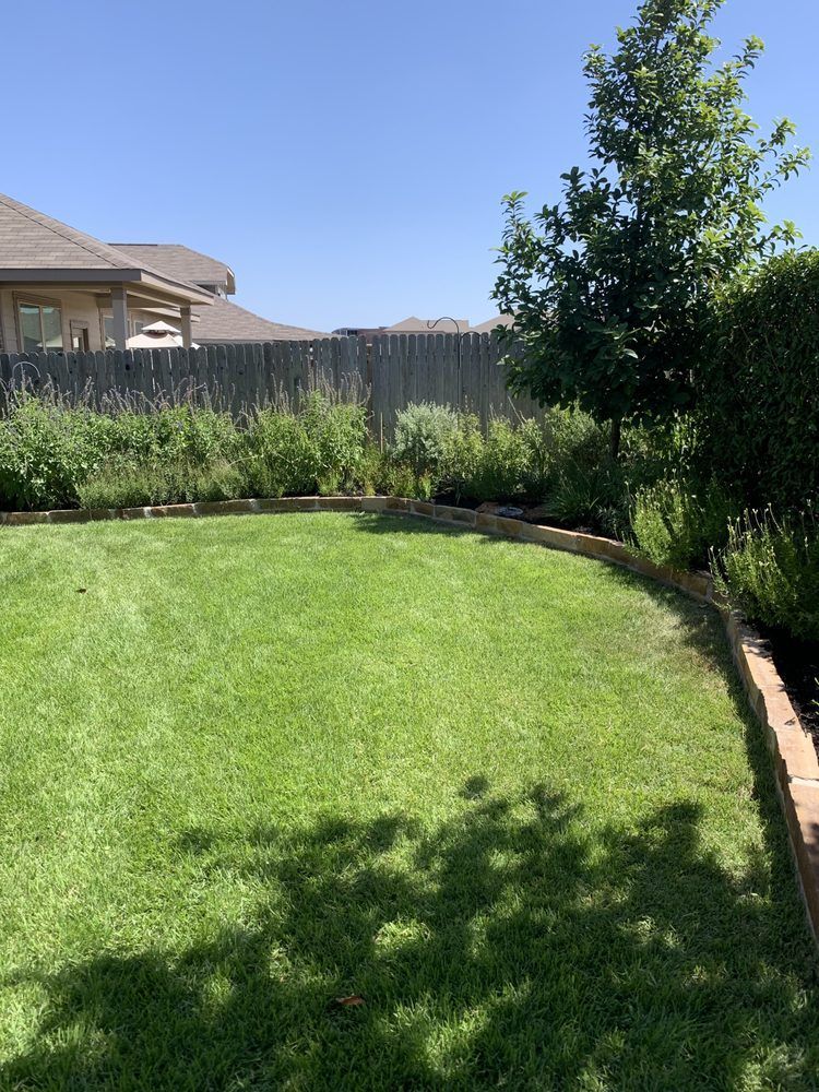 A lush green lawn with a fence in the background and a house in the background.