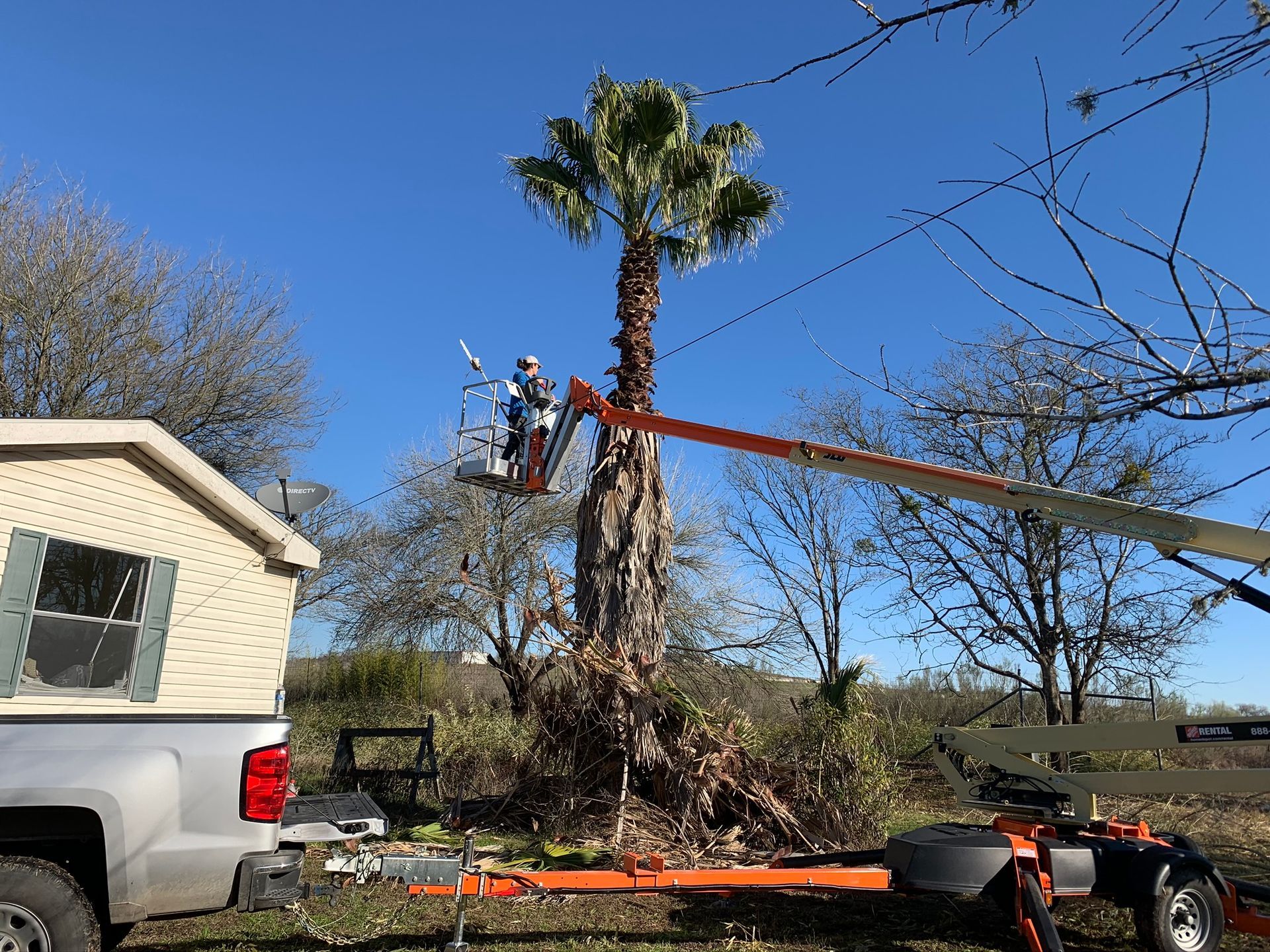 A person is cutting a tree branch with a chainsaw.