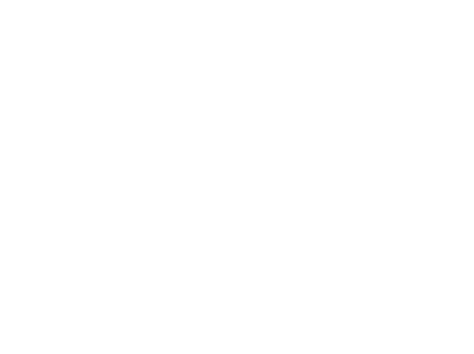 Fisher North American Logo