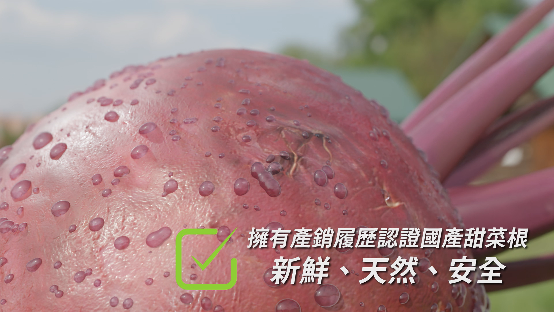 粉纖美-精裝禮盒款(30包/盒)
