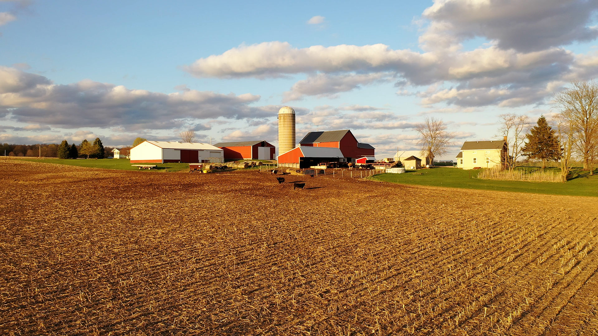 The sun is setting over the ocean and the waves are crashing on the beach.