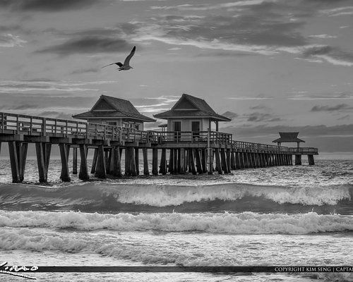 A black and white photo of a pier with a seagull flying over it.